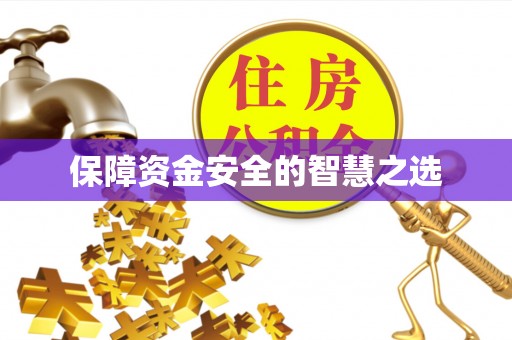 王益保障资金安全的智慧之选