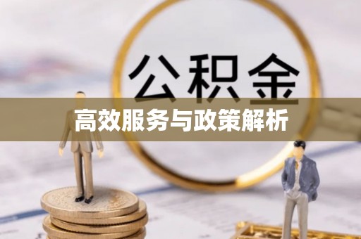 王益高效服务与政策解析